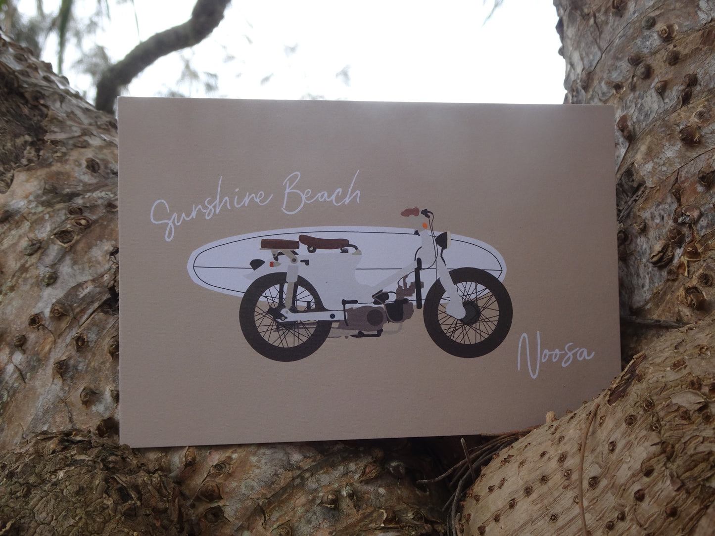 Honda with surfboard, Sunshine beach, Noosa, ecofriendly postcard