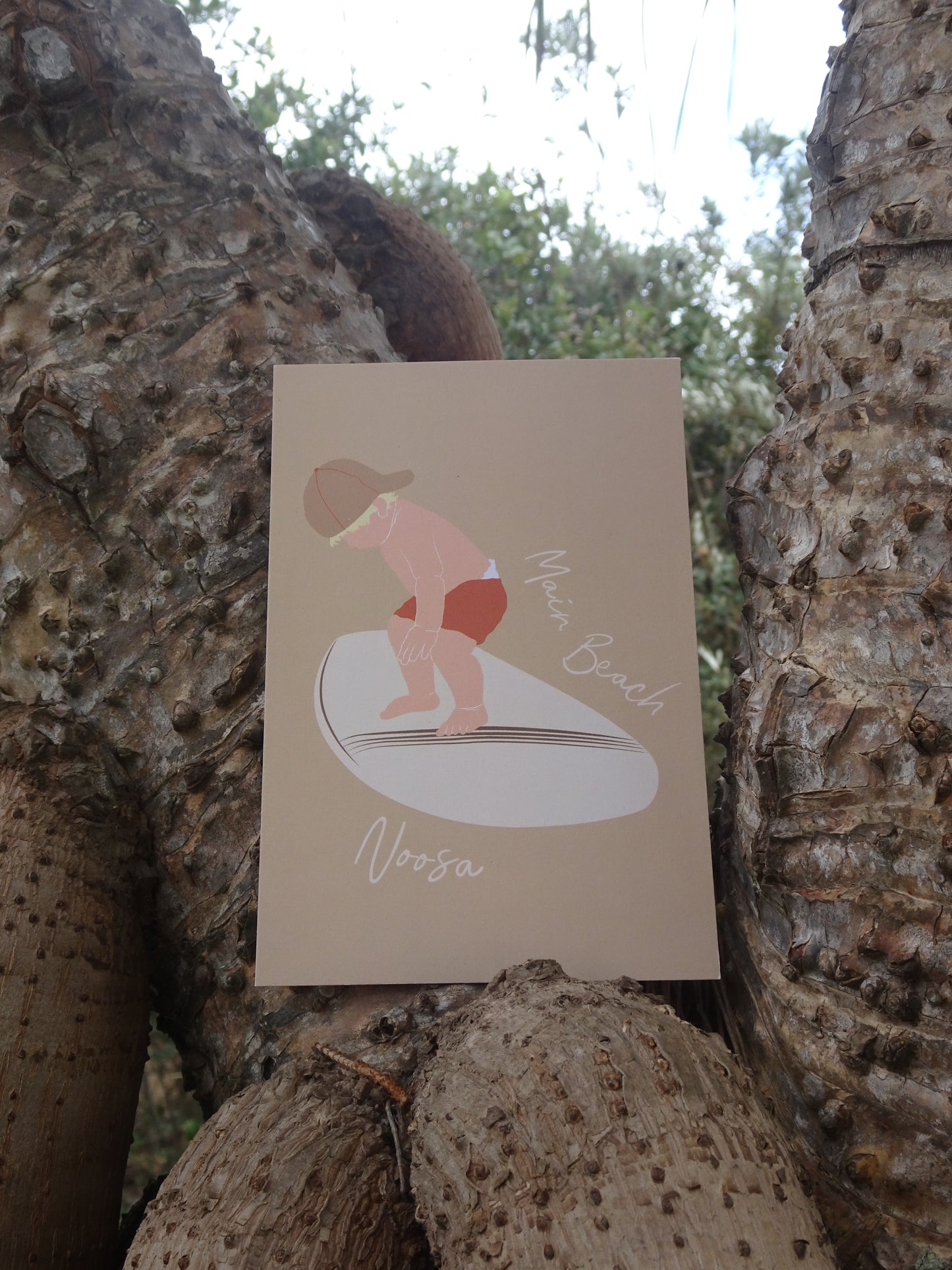 Toddler surfer, Main beach Noosa, ecofriendly postcard