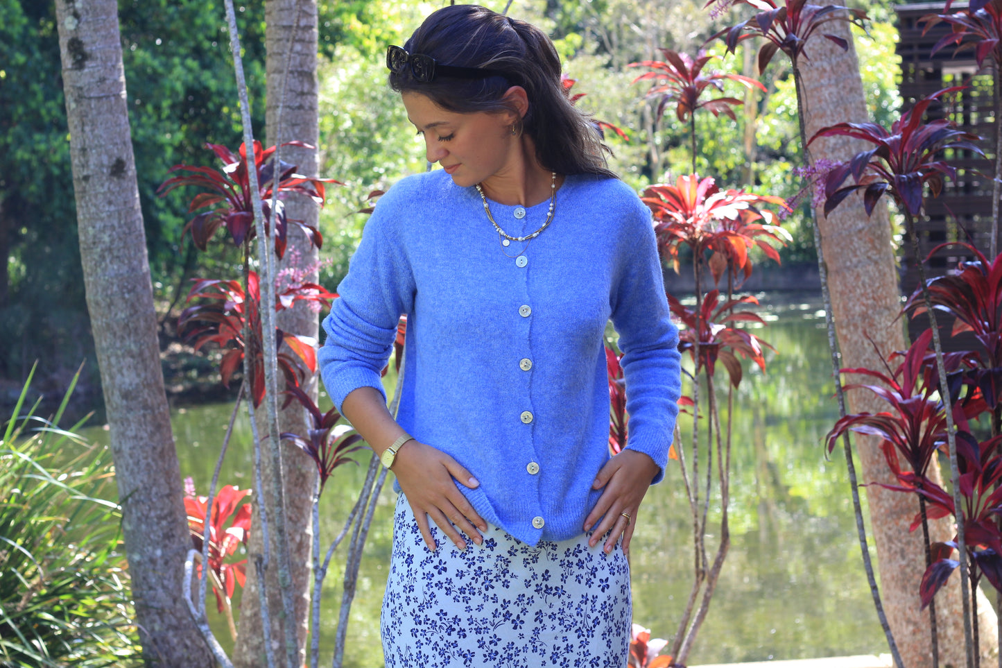 Cardigan Blue, Alma
