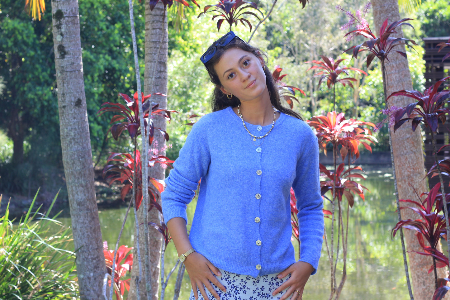 Cardigan Blue, Alma